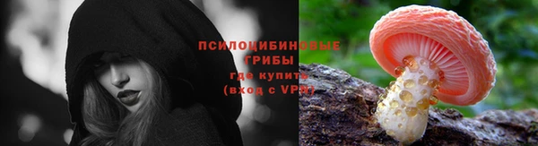 гидра Абаза