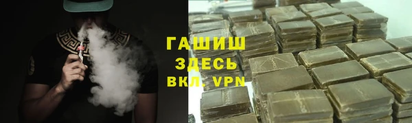 гидра Абаза